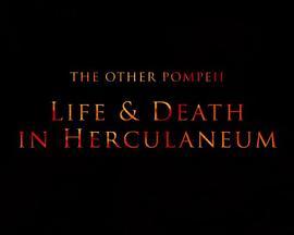 另一个庞贝：赫库兰尼姆的生与死