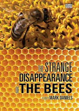 蜜蜂的消失之谜