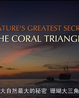 珊瑚三角洲第一季