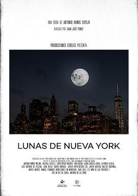 纽约的月亮