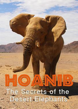 霍尼布—沙漠象的秘密