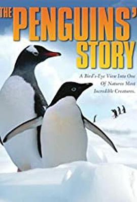 企鹅的故事
