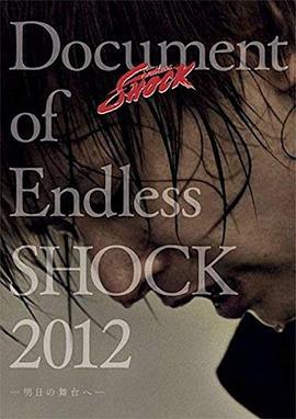 DocumentofEndlessShock2012-明日の舞台へ