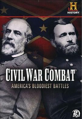 内战中的战斗：美国的血腥战役