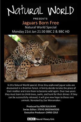 自然世界：美洲豹——天生自由