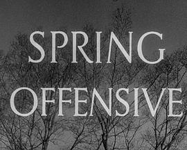 SpringOffensive