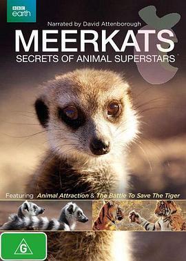 Meerkats-SecretsOfAnAnimalSuperstar
