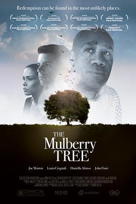 TheMulberryTree