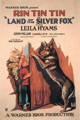 LandoftheSilverFox(1928)