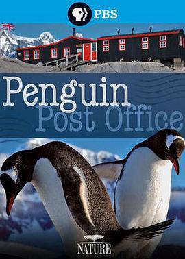 自然世界：企鹅邮局