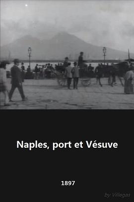 那不勒斯，港口与维苏威火山